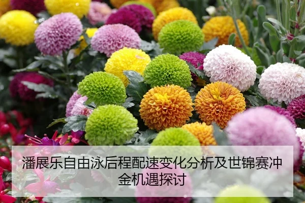 潘展乐自由泳后程配速变化分析及世锦赛冲金机遇探讨