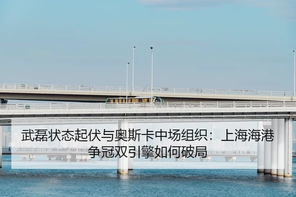 wu-lei-zhuang-tai-qi-fu-yu-ao-si-ka-zhong-chang-zu-zhi-shang-hai-hai-gang-zheng-guan-shuang-yin-qing-ru-he-po-ju-2-479.jpg