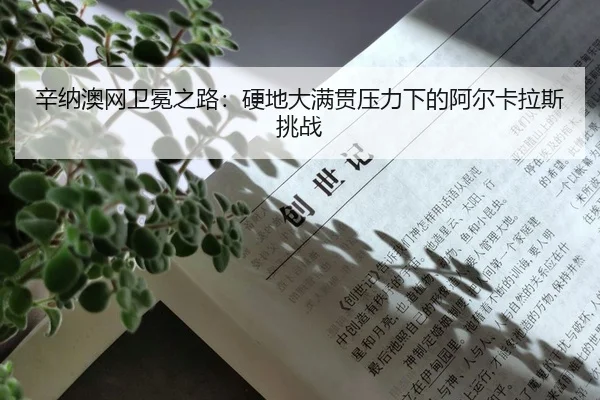 xin-na-ao-wang-wei-mian-zhi-lu-ying-di-da-man-guan-ya-li-xia-de-a-er-ka-la-si-tiao-zhan-2-222.jpg