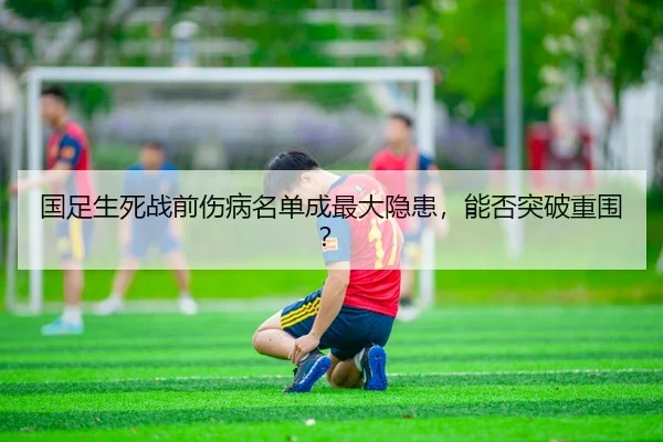 guo-zu-sheng-si-zhan-qian-shang-bing-ming-dan-cheng-zui-da-yin-huan-neng-fou-tu-po-chong-wei-3-805.jpg