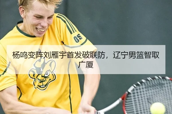 杨鸣变阵刘雁宇首发破联防，辽宁男篮智取广厦