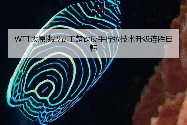 tai-yuan-tiao-zhan-sai-wang-chu-qin-fan-shou-ning-la-ji-shu-sheng-ji-lian-sheng-ri-han-3-111.jpg