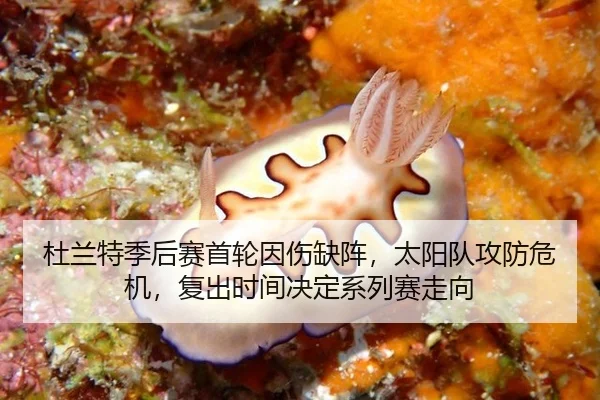 du-lan-te-ji-hou-sai-shou-lun-yin-shang-que-zhen-tai-yang-dui-gong-fang-wei-ji-fu-chu-shi-jian-jue-ding-xi-lie-sai-zou-2-264.jpg