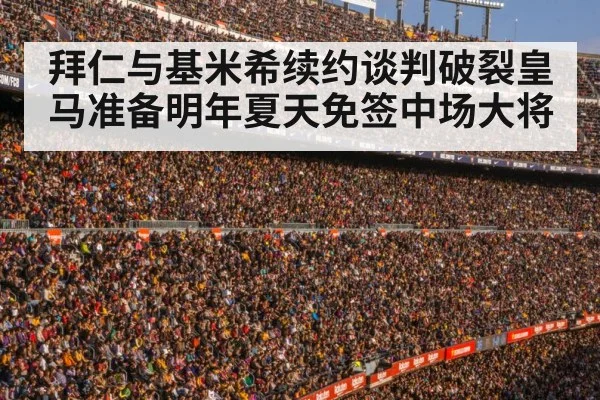 football stadium crowd